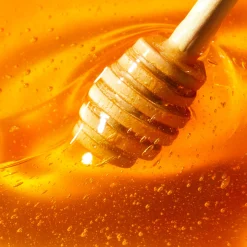 Huiles 100% Végétales|Confort & Nutrition|NUXE CICA Crème Mains Riche