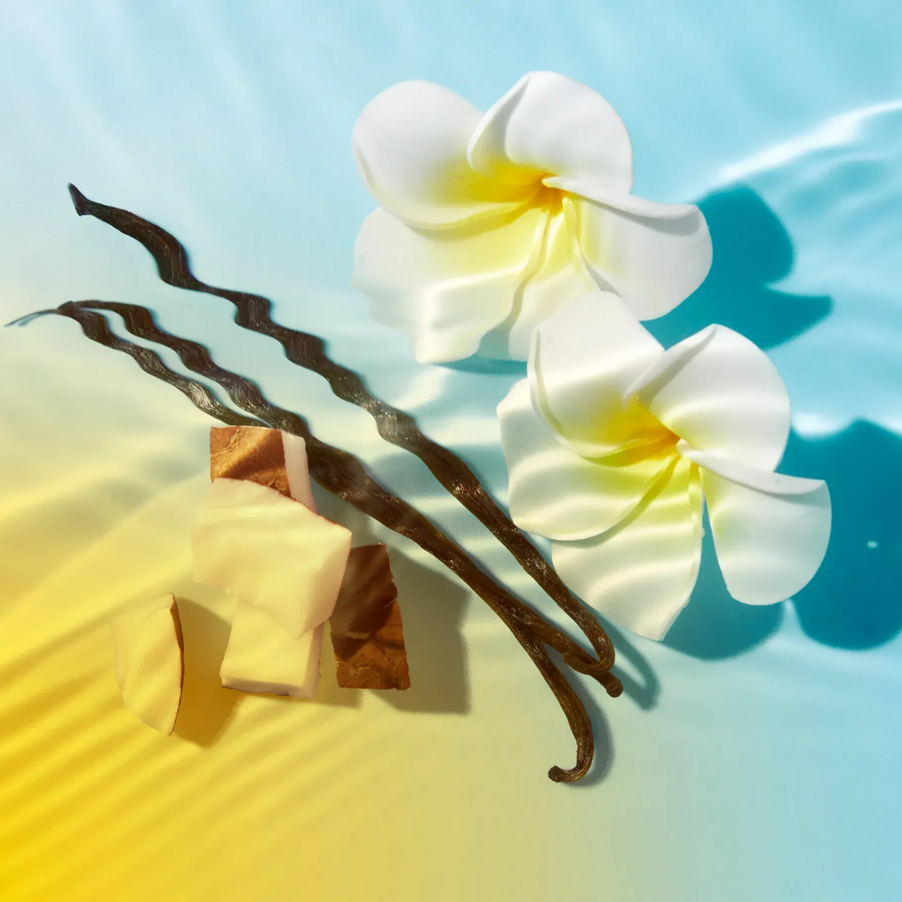 Après Soleil|Protection Solaire|NUXE Duo Huile Solaire Bronzante Haute Protection SPF30 visage et corps et Lait Fraicheur Après-Soleil visage et corps 100ml offert