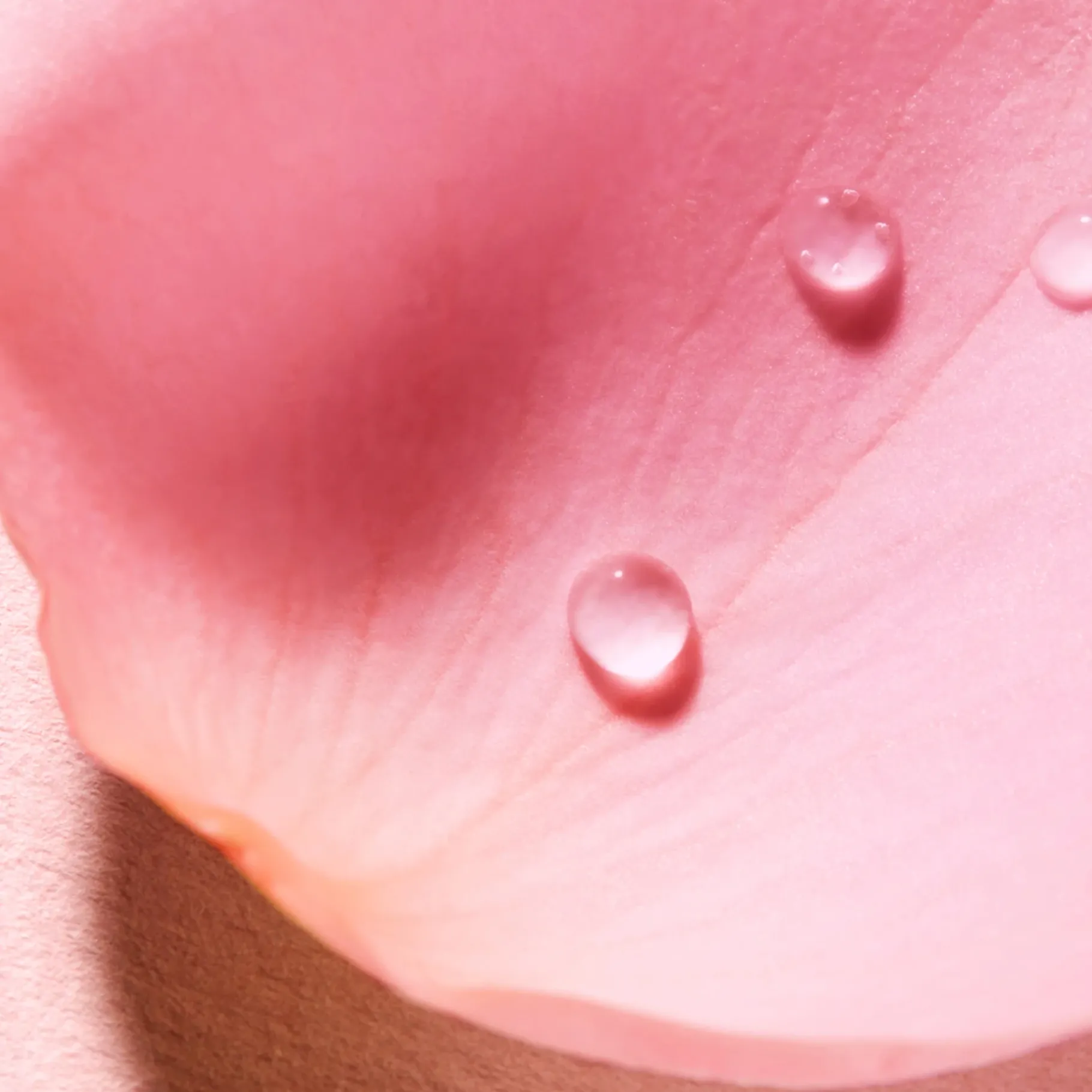 Parfum Et Eau Parfumante|NUXE Eau Voluptueuse Parfumante