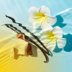 Anti-oxydants|Teint Unifié & Pores Resserreés|NUXE Fluide Léger Haute Protection SPF50
