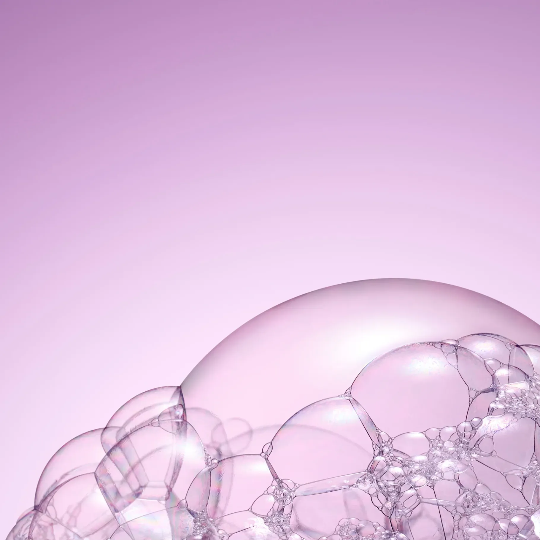Huiles 100% Végétales|Shampooing|NUXE Le Shampooing Brillance Miroir